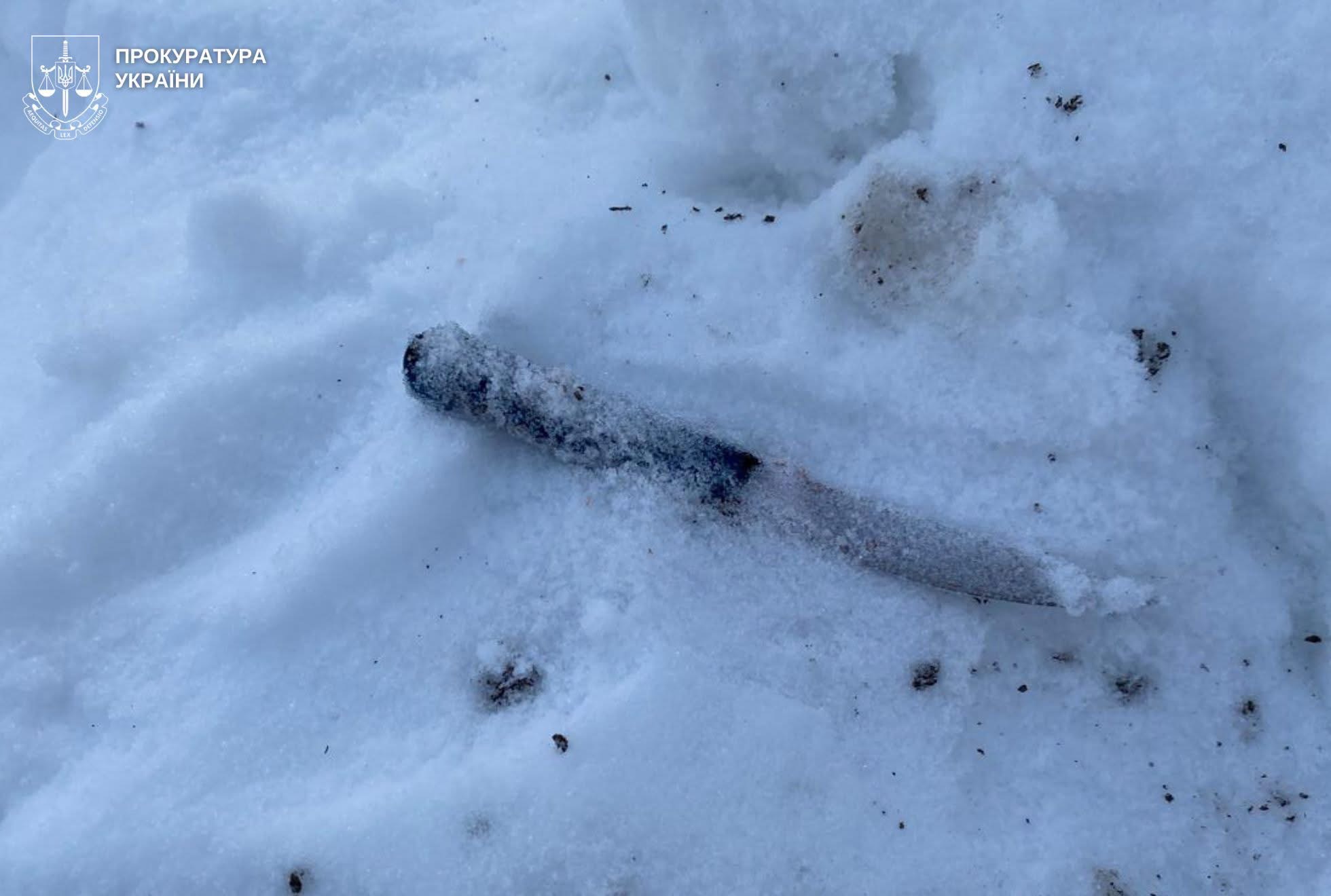Після нападу на сусіда вбив співмешканку: на Львівщині судитимуть 22-річного чоловіка