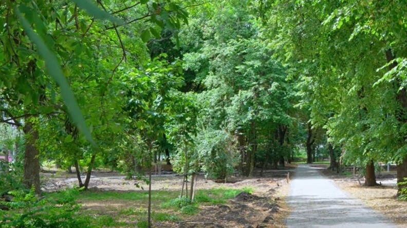В одному з скверів Львова за інвесторські кошти оновлюють громадський простір