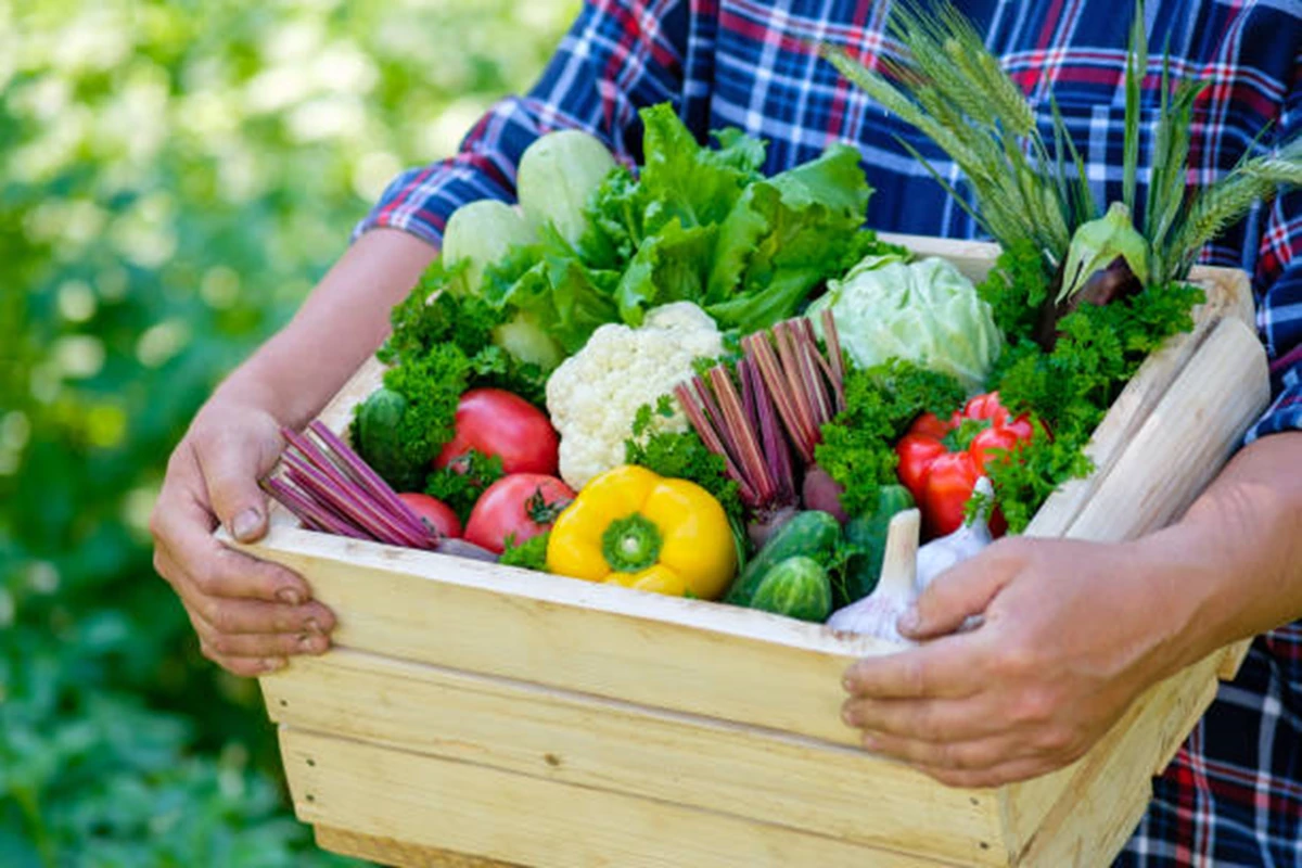 На Львівщині профінансували підтримку виробників овочевої продукції та ветеранського фермерства