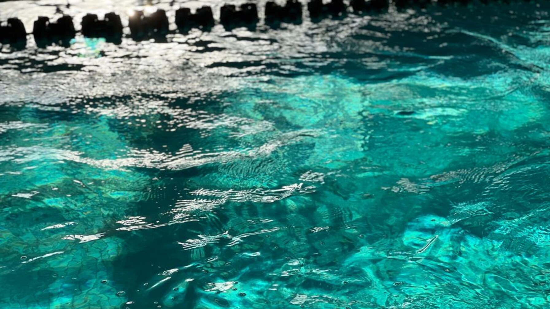 У Львові перевірили воду в басейнах: результати