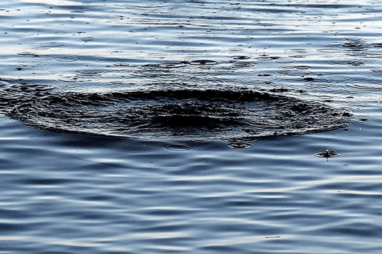 21 людина загинула на водоймах Львівщини від початку року: як убезпечити себе під час відпочинку