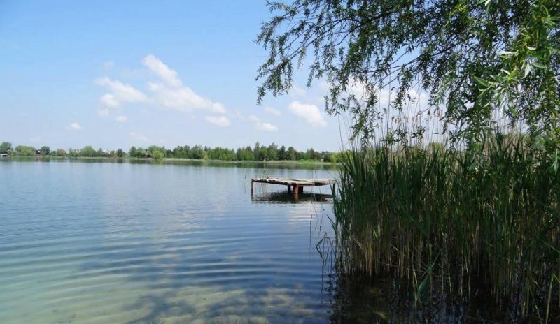 Стала відома причина масового отруєння на озері Задорожнє