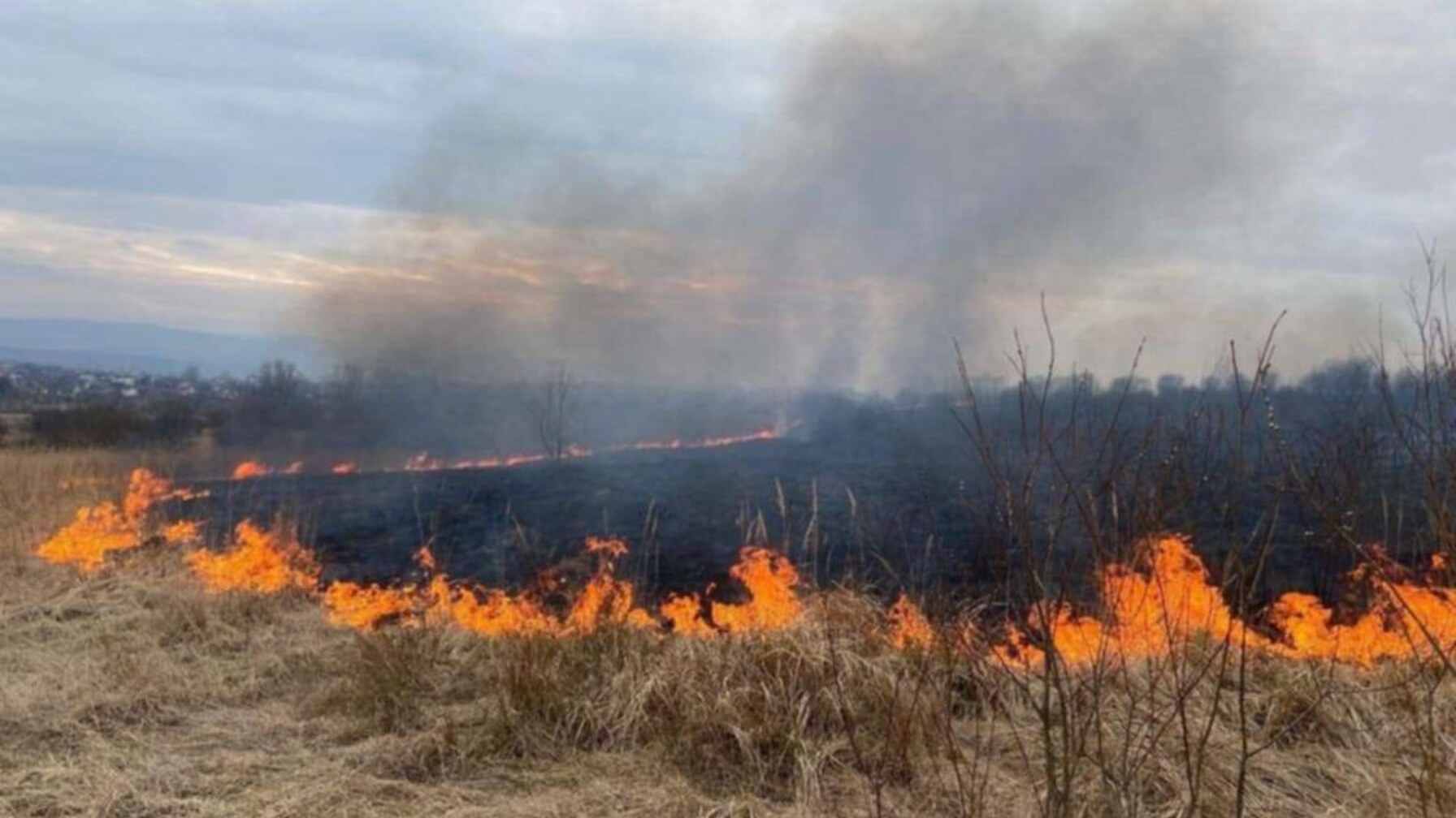 У Львівській громаді 22 людей оштрафували за спалювання сухостою: площа пожеж зросла вчетверо