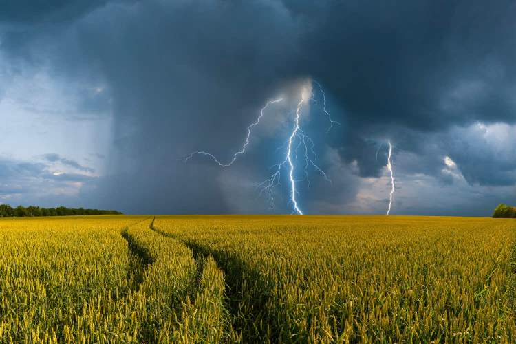 До +30° та грози: якою буде погода на Львівщині сьогодні