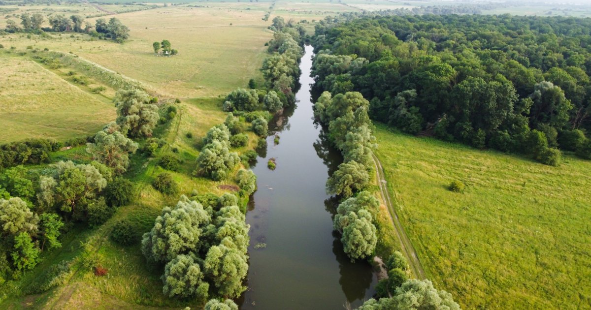 На річках Львівщини очікують критичне зниження рівнів води