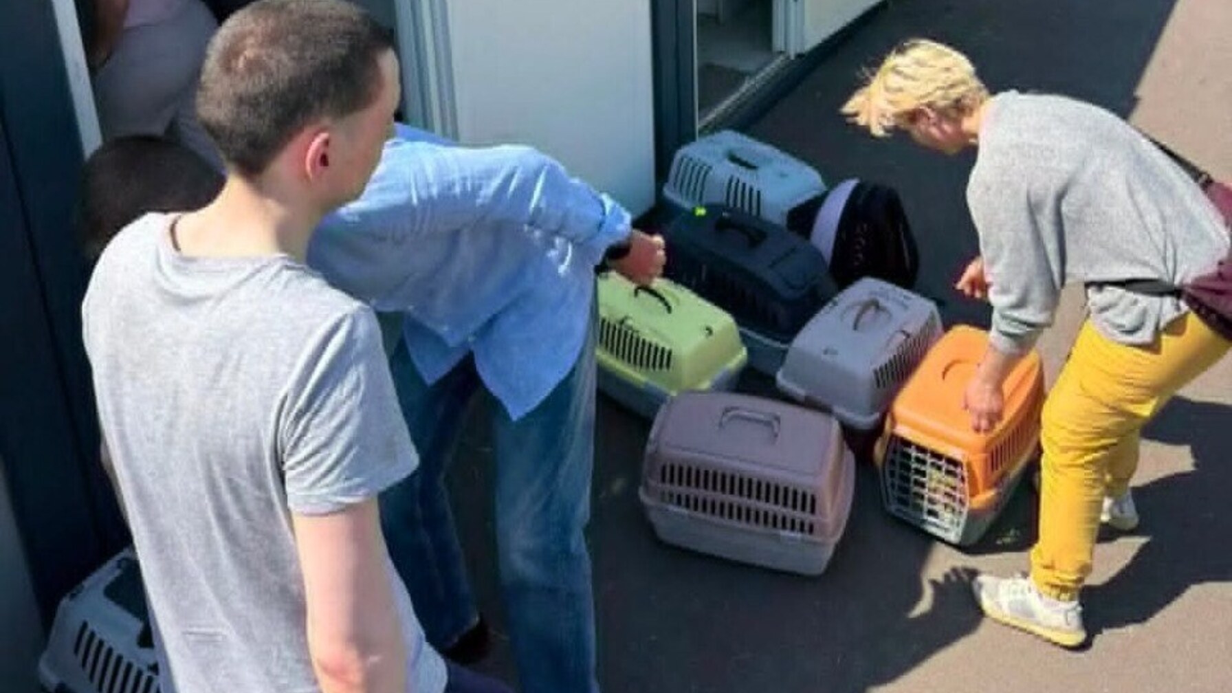 Сім’ю з 14 котами, яка втратила житло через російську атаку на Львів, тимчасово поселили в модульному містечку